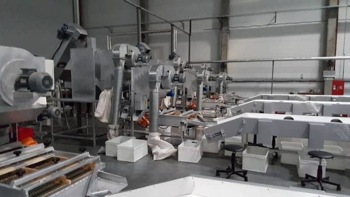 Walnut Cracking Line 2